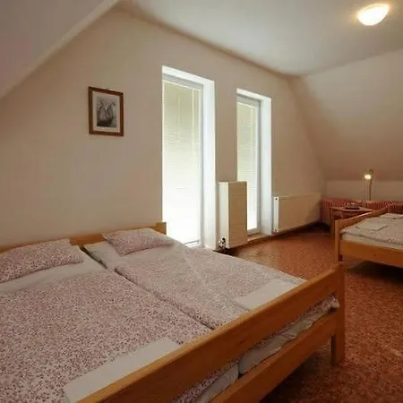 Tradicni Apartahotel Sněžné
