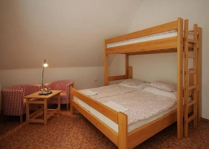 Tradicni * Sněžné